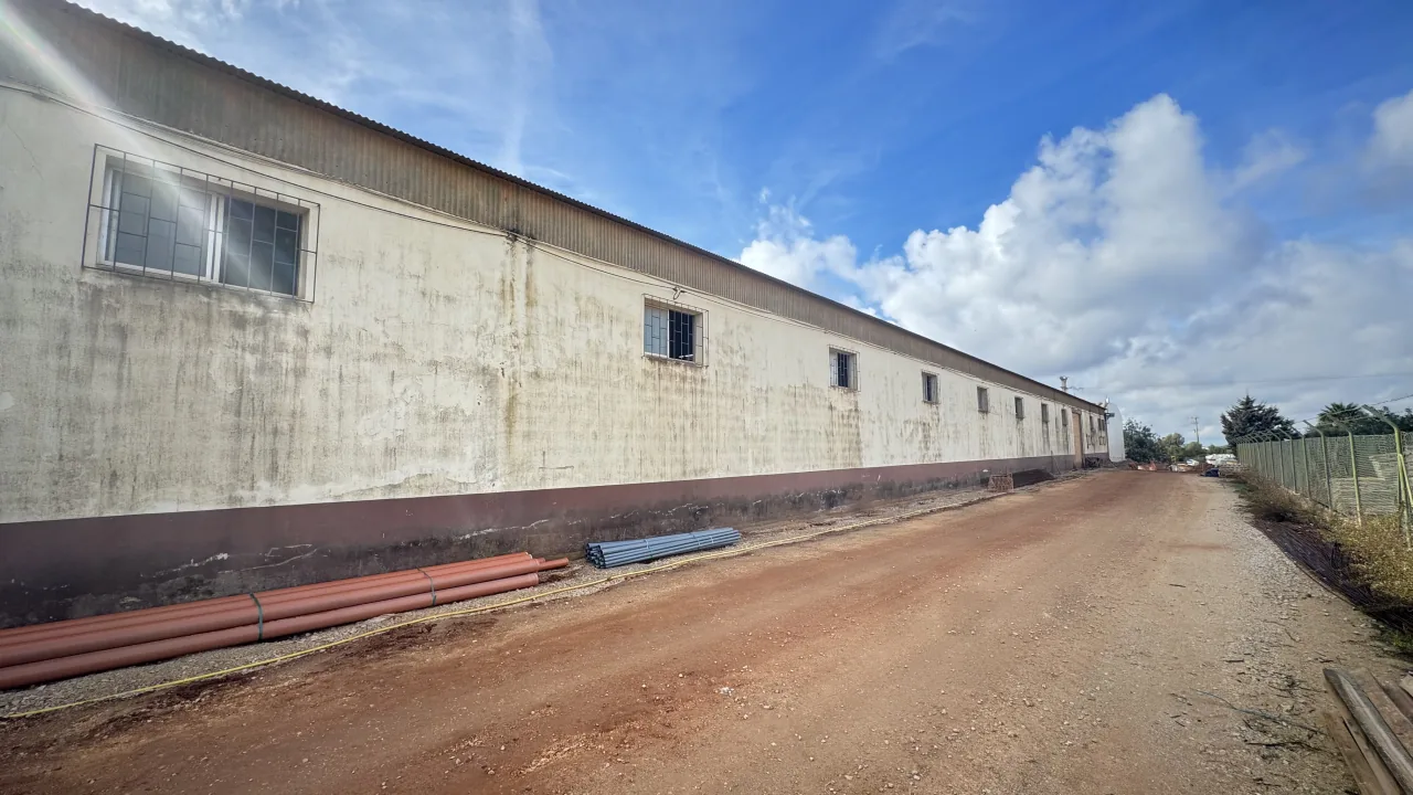 Long warehouse façade with damp stains and a dark plinth, before the work