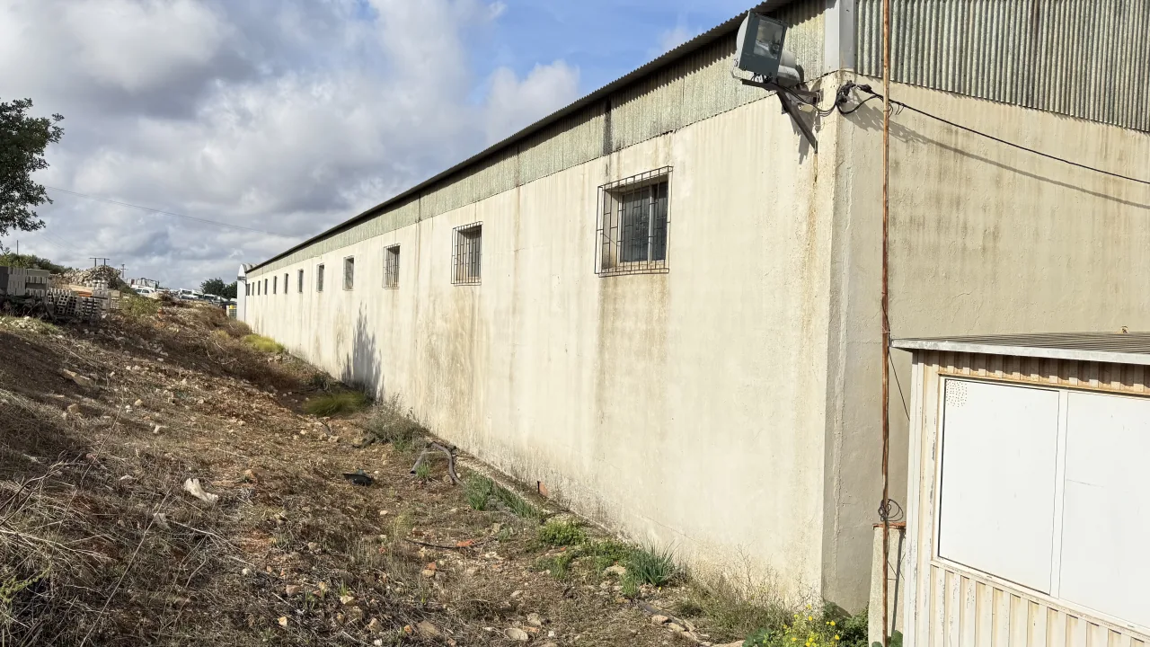 Rear elevation of the warehouse, with streaks and grime, before the work