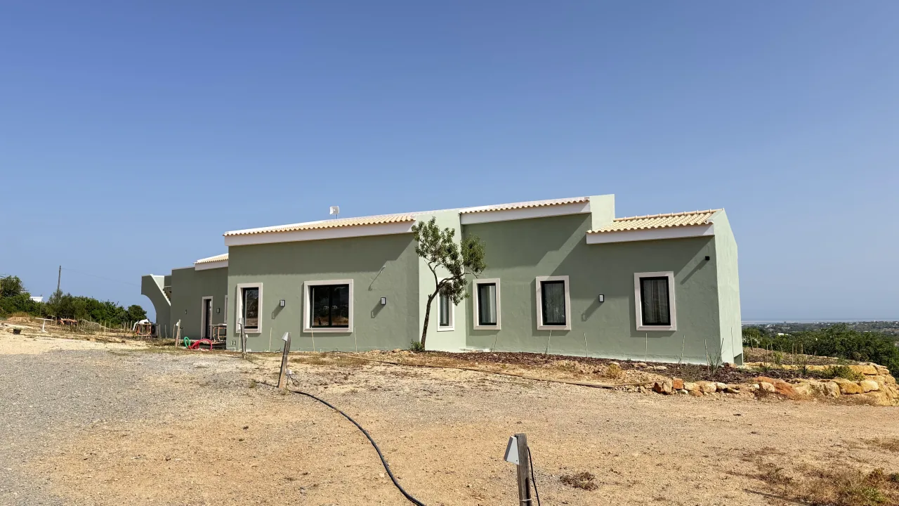 Alçado posterior verde-sálvia com oliveira jovem no terreno